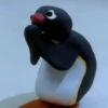 PINGU MEMES 5