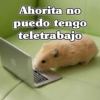 Ahorita no puedo tengo teletrabajo