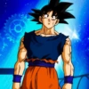 🐉🧡🖤Goku CC basé 🖤🧡🐉 13