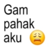 30 Gam pahak aku