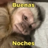 Mix de memesitos 6