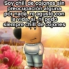 Soy chill de cojones sin preocupación alguna por nada, re agusto con la vida, si, ni pedo siempre chill de cojones