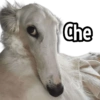 Che