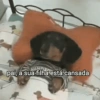 Cansada | cansado  14