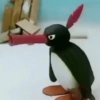 PINGU MEMES 13