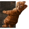 Garfield 🐱 11