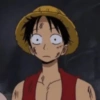 Luffy 23