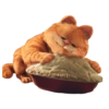 Garfield 🐱 7