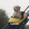 OTRA VEZ LUNES 😭😡 13