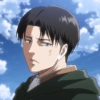 Levi 26