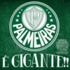Palmeiras 🍃✨ 16