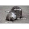 Meme dari Twitter (3) 24