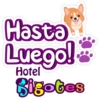 Bigotes frases 9