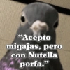 🧿Frases Migajeras🍞🐦 20