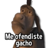 Me ofendiste gacho