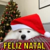 FELIZ NATAL Cal