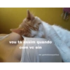 Gatitos 🐱 14
