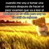 cuando me voy a tomar una cerveza despues de hacer el peor examen que va a leer el profesor en su vida pero soy un tio chill de cojones