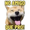 NO AMIGO QUE PRO!