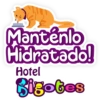 Bigotes frases 24