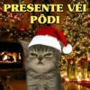 PRESENTE VÉI PÔDI