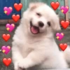 MUITO AMOR VOCÊ USAR ❤️ 12
