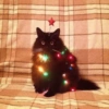 Navidad 🎄 9