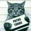 Gatos raros 14