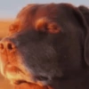 Nu vai tomando 27