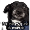 Por eso es q uno 10 los muerde