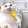 Meme Kucing Lucu 🐱 20