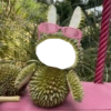 Labubu filter tamplate 7