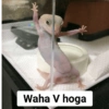 Meow Memes-2😼 17
