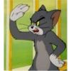 Tom and jerry steakers 24