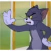 Tom and jerry steakers 25