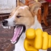 SÓ MELHORES REAÇÕES  11