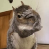 प्यारी गिलहरी प्रतिक्रियाएँ 🐿️ 11