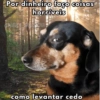 Meme random 11