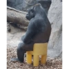 🐒✨️Chimpances Mood✨️🐒 23