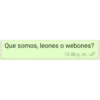 Que somos, leones o webones? 12:48 p. m.