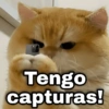 ✨ Memes mix 8 🪄🔥 23