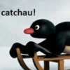 catchau!