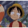 Luffy 28