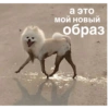Более смешные мемы🫶🏻 28
