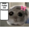 Hamster e non  14