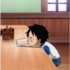 Luffy 15