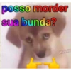 posso morder sua bunda? MACI