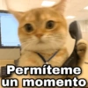 ✨ Memes mix 8 🪄🔥 19