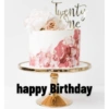 Happy Birthday cake 24
