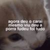 Gatitos 🐱 17